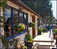 Phoenix shop